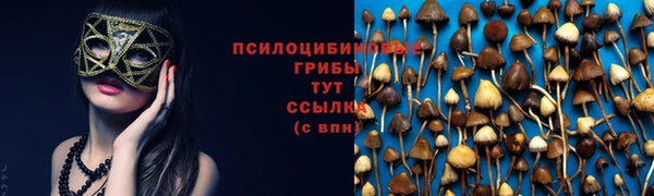 ALPHA PVP Ростов